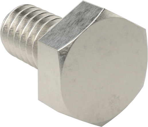 bolt