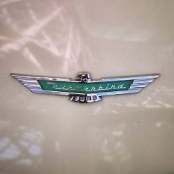 Thunderbird