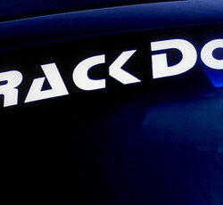 Track Dog Racing