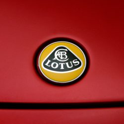 Lotus