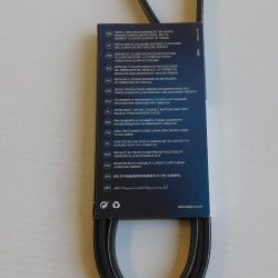 belt