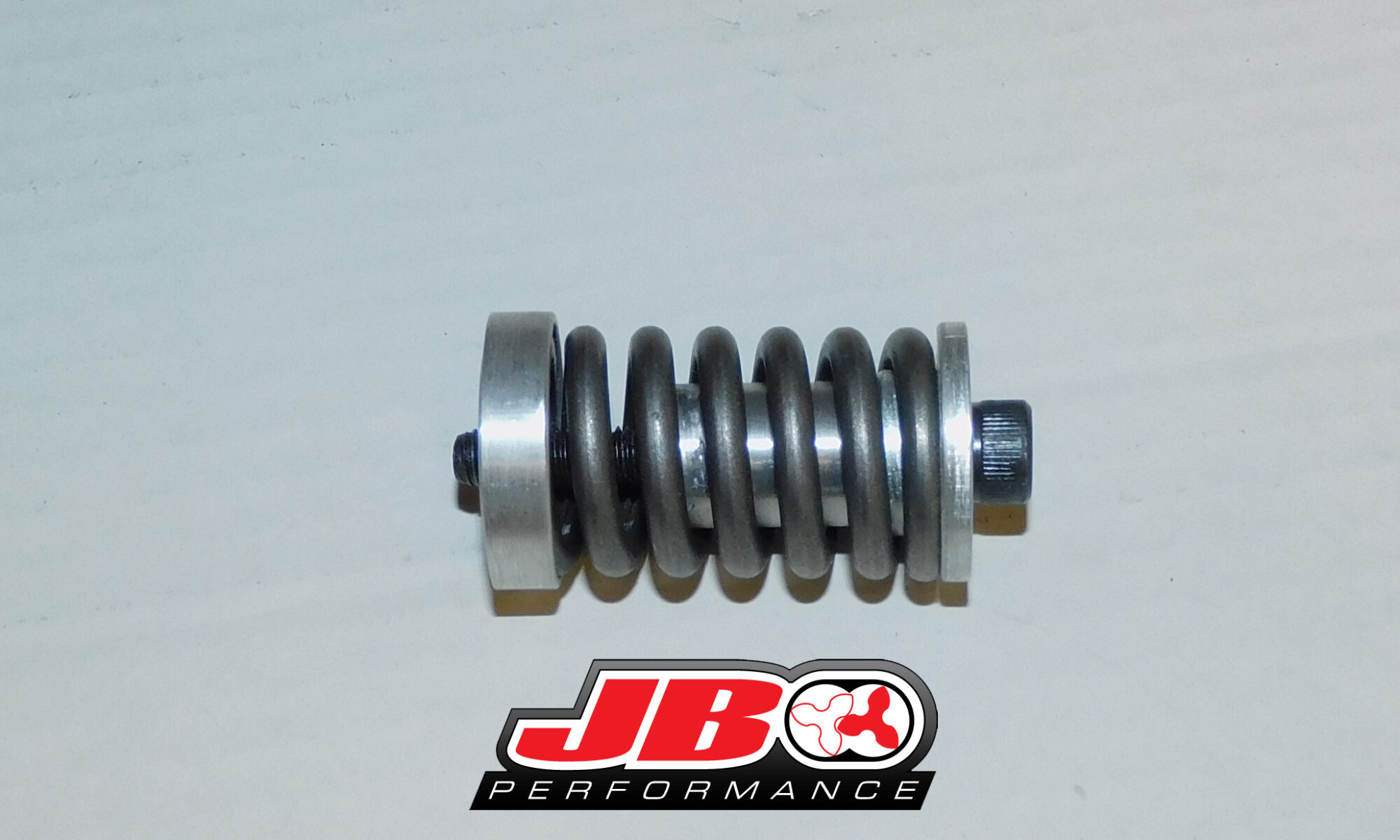 rotor spring assembly