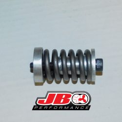 rotor spring assembly