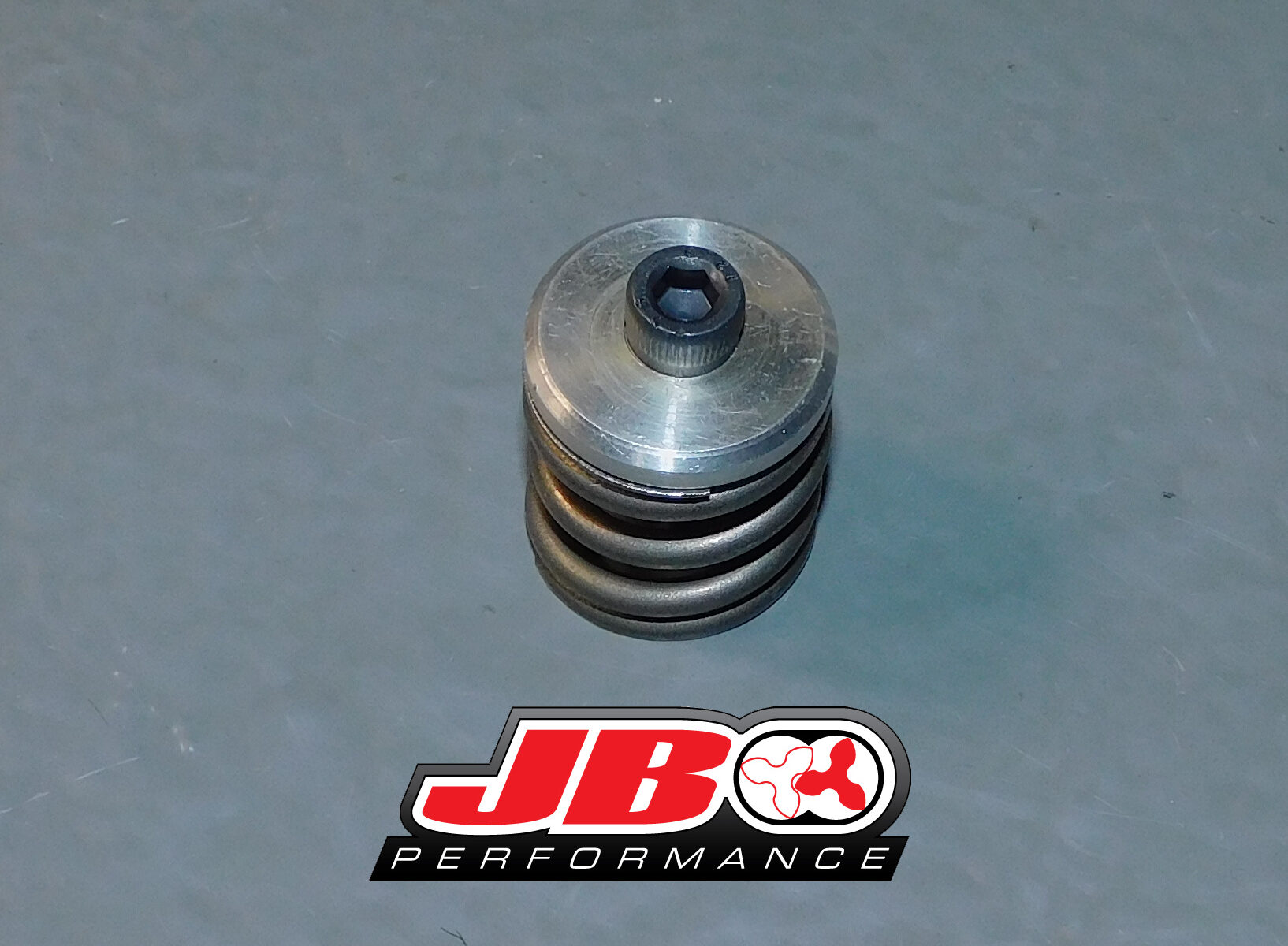rotor spring assembly