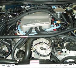 94-97 Thunderbird/Cougar 4.6L 2V